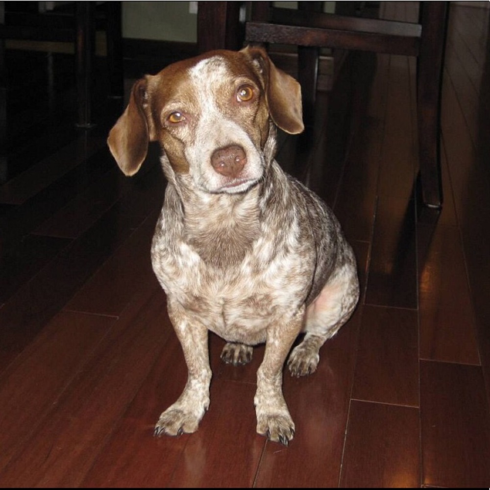 Meet your Posher, Liza